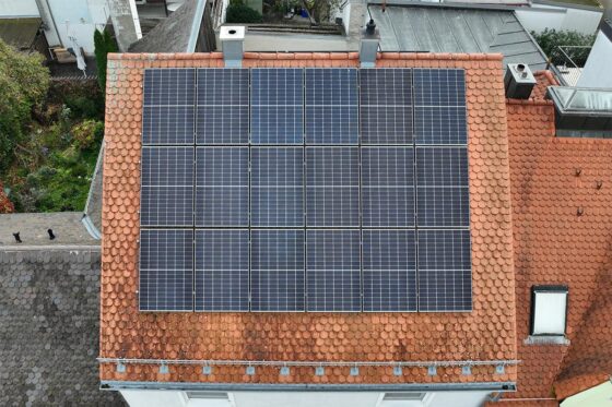 {{brizy_dc_image_alt imageSrc=